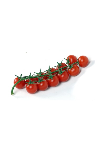 Cherry Domates Tohumu 100 Adet