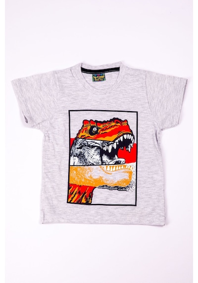 Hçm Erkek Çocuk Tshirt Dinozor Baskılı A28 Gri