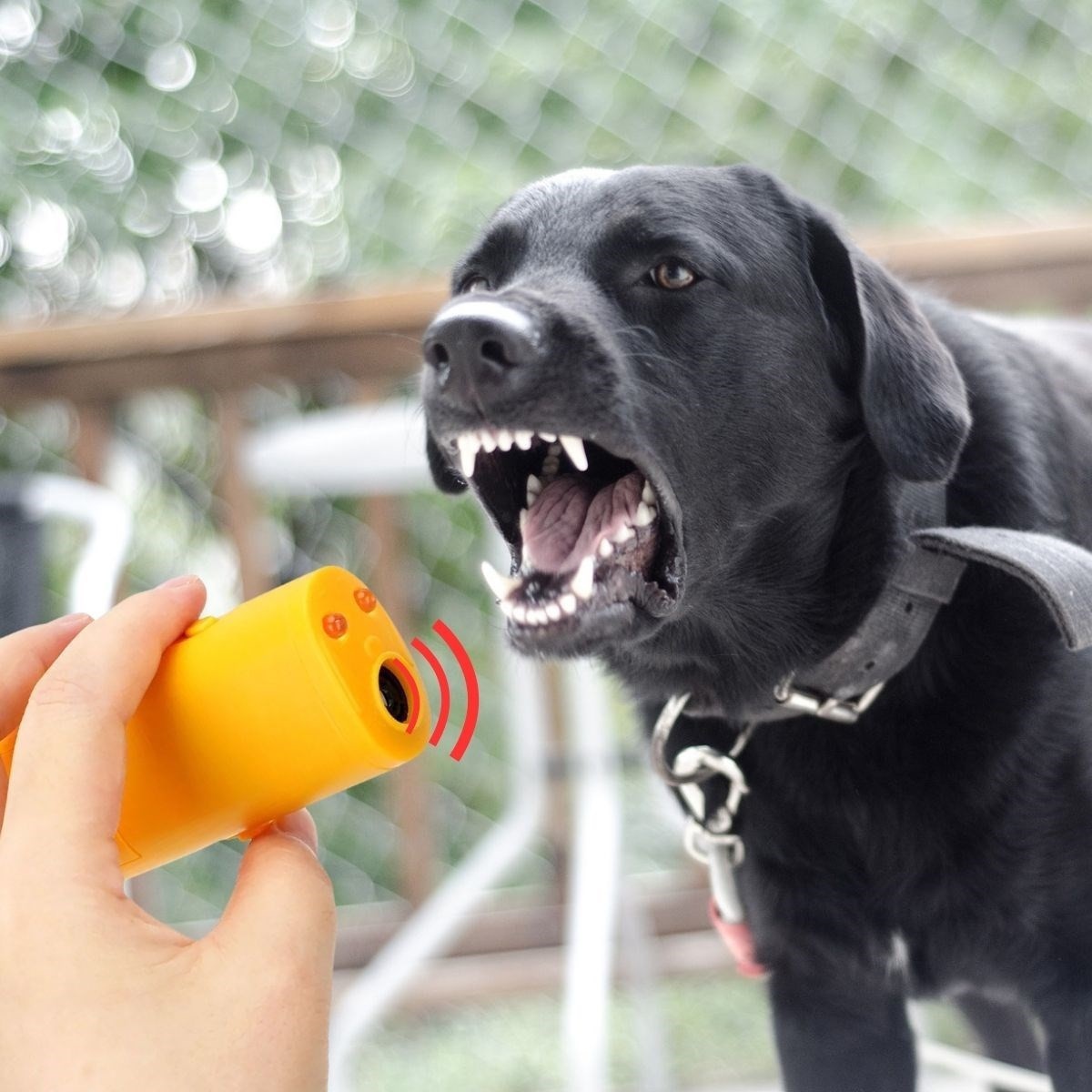 Ultrasonik Köpeksavar Köpek Kovucu Köpek Kornası Eğitim Cihazı 5705