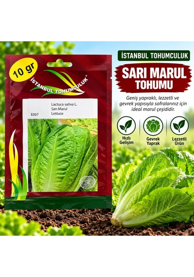Sarı Marul Tohumu 10 Gr