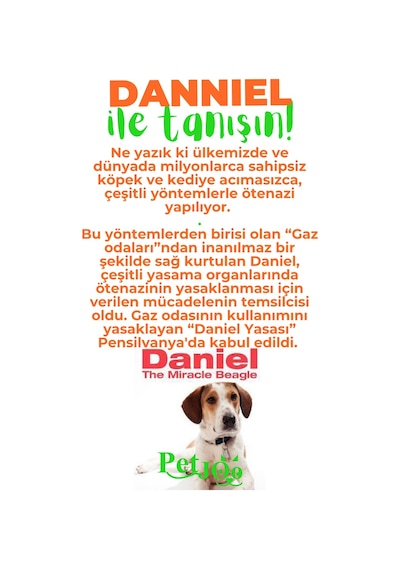 Petjoo 21.Danniel Yeşil-Turuncu Qr'lı Köpek Künyesi