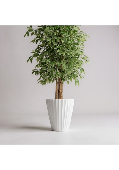 150 Cm Yapay Ficus Beyaz Lilyum 31x58 Dekoratif Ağaç
