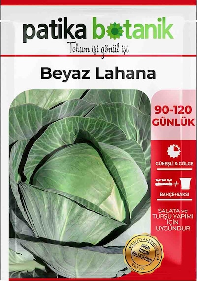 200 Adet Yerli Ata Beyaz Lahana Tohumu Yalova