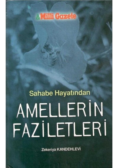 Sahabe Hayatından Amellerin Faziletleri - Zekeriyya Kandehlevi