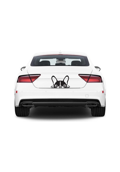 Köpek Araba Stickerı Vinil Sticker
