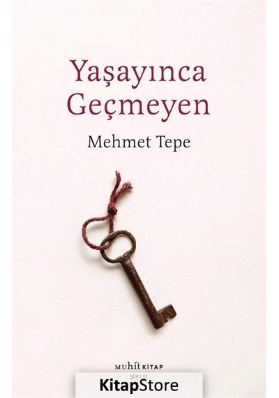 Yaşayınca Geçmeyen - Mehmet Tepe - Muhit Kitap