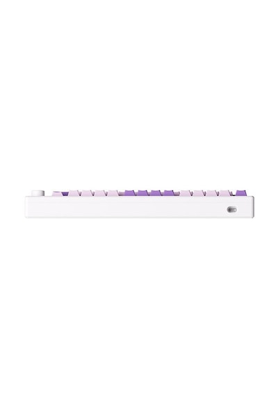 Akko MOD 007 HE PC Purple Melody Hall Effect Cream Yellow Magnetic Switch RGB Mekanik Oyuncu Klavye