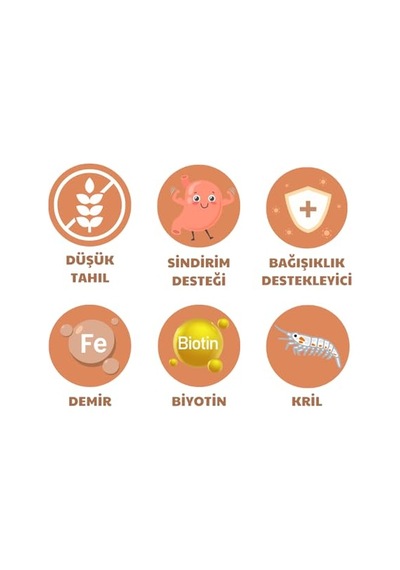 Sensitive Skin & Coat Kuru Köpek Sı, Deri Ve Tüy Hassasiyeti Olan, Yetişkin Köpekler İçin, Tahılsız, Somon Balıklı, 12kg 100 G