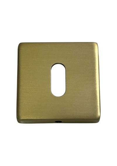 System Kare Oda Kapı Rozeti Gold Branch Renk Ro11n Gb