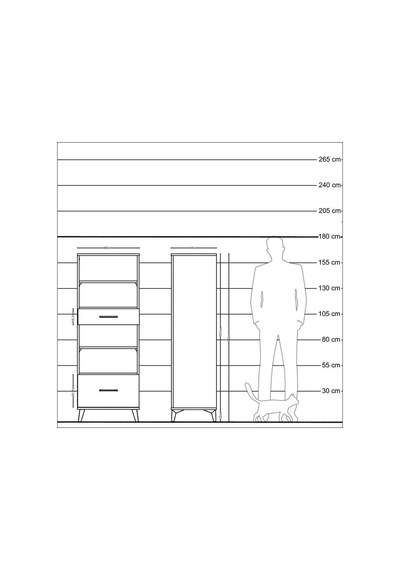 Hyperion Dolap 2 Raflı 2 Çekmeceli 60x44x163 Çam-antrasit Atlas Çam