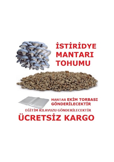 2000 Adet İstiridye Kavak Mantarı Tohumu