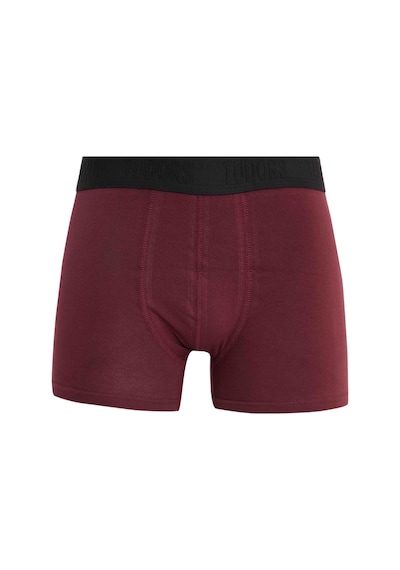 Tudors Erkek 2'li Pamuk Likralı Esnek Kumaş Boxer-33208 Multi