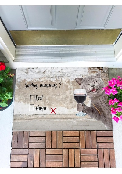 Sarhoş Musun Kapı Önü Paspası Dekoratif Kapı Paspası Dış Mekan Paspas Ev Içi Paspası 45x70cm Çok Renkli