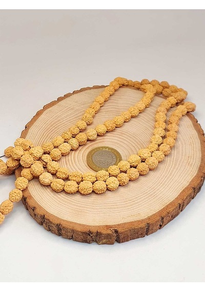 Açık Renk Süt Rudraksha Tohum Dizi 8-9mm Aralığı Mala Yapımı İçi Çok Renkli