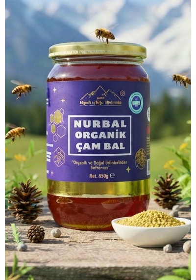 Nurbal Şifa Merkezi Organik Çam Balı 1 KG