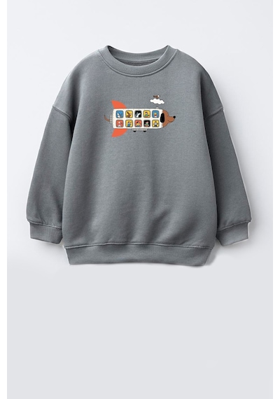 Monila Erkek Çocuk 3 İplik Kumaş Pamuklu Uçak Baskılı Sweatshirt Antrasit