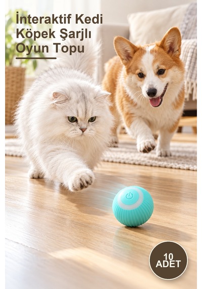 10 Adet İnteraktif Kedi Köpek Şarjlı Oyun Topu