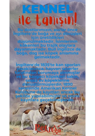 Petjoo 16.Kennel Kırmızı-Mavi Qr'lı Köpek Künyesi