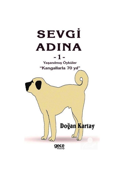 Yaşanılmış Öyküler-Sevgi Adına 1 - Doğan Kartay - Gece Kitaplığı