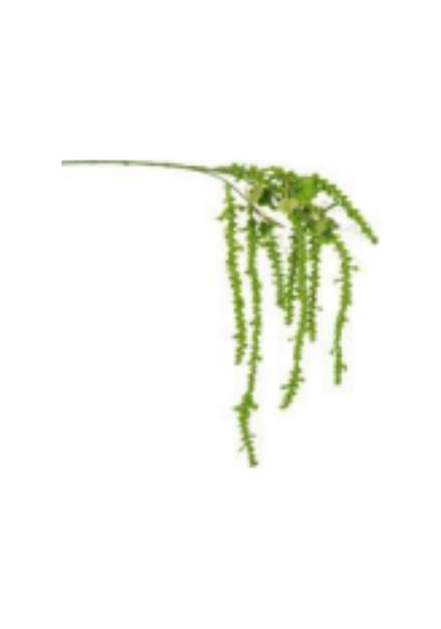 Yapay Gypso Sarkan Yeşil 105 Cm. Çok Renkli