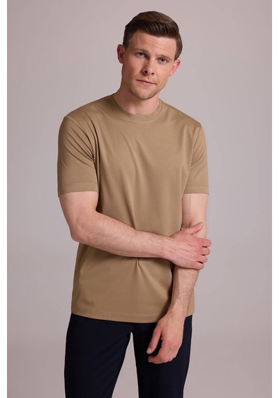 Erkek Vizon Regular Fit Bisiklet Yaka T-shirt