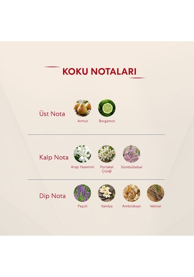 Bargello 359 Kadın Parfüm EDP 50 ML