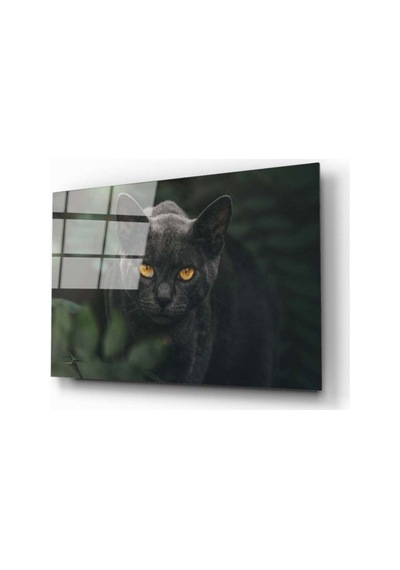 Miyrem Glasses Collection -a1^ Siyah Kedi Cam Tablo