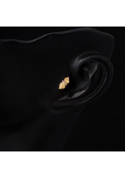 Bilezikci Amazon 14 Ayar Altın Tragus Küpe Kphsy14k22482 Sarı