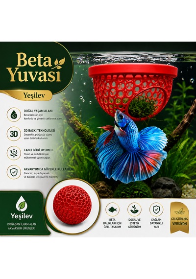 Beta Balığı Kırmızı Betta Dinlenme Alanı & Üretim Yuvası