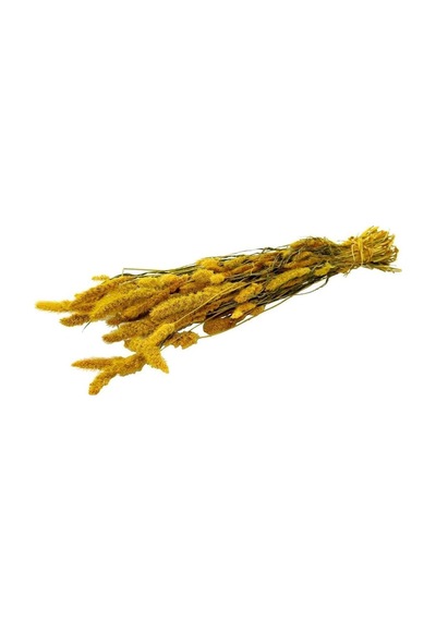 Kuru Çiçek Kurutulmuş Seterya Demeti Sarı Diğer