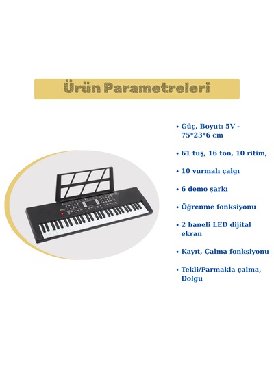 Başlangıç İçin 61 Tuşlu Elektronik Dijital Profosyenel Org Piyano Mikrafonlu Keyboard Siyah