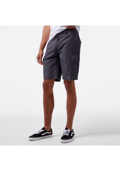Dickies Millerville Erkek Gri Şortdk0a4xedch01