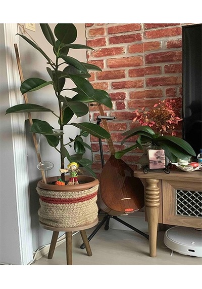 2'li Ahşap Ayaklı Çiçeklik Saksılık Standı 24 Cm Çap Atlantik Çam