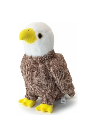 Pl50253 45 Cm Kartal Çok Renkli
