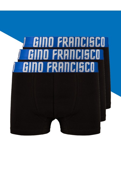 Gino Francisco Erkek Boxer 3'lü Paket Pamuklu Mavi Mood Serisi Premium Kutulu Set