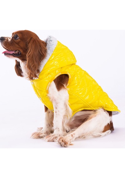 Pawstar Sarı Light Wave Anorak Yelek Köpek Yeleği