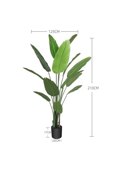 Rüzgar Yapay Çiçekçilik 2.10 Cm Yapay Starlice Ağacı Yeşil