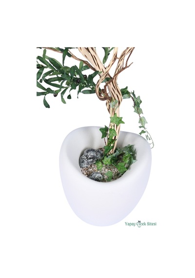 Yapay Çiçek Sitesi Fiber Saksıda Bonsai Gövdeli Premium Yapay Zeytin Ağacı 180 Cm Yeşil