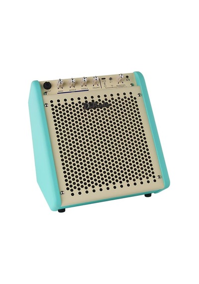 Dk Technology Ib25 Gr Bass Gitar Amfisi 25w