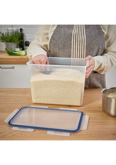 Ikea 365+ Plastik Saklama Kabı, Plastik, 10,6 Lt Çok Renkli