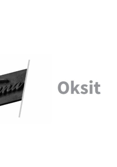 DEKORATİF ANTİK OKSİT PİRİNÇ KAPI KULPU KAPI ÇEKME KOLU 20CM