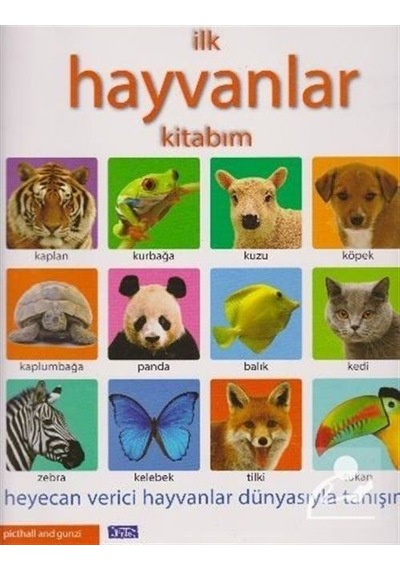 Ilk Hayvanlar Kitabım / Kolektif