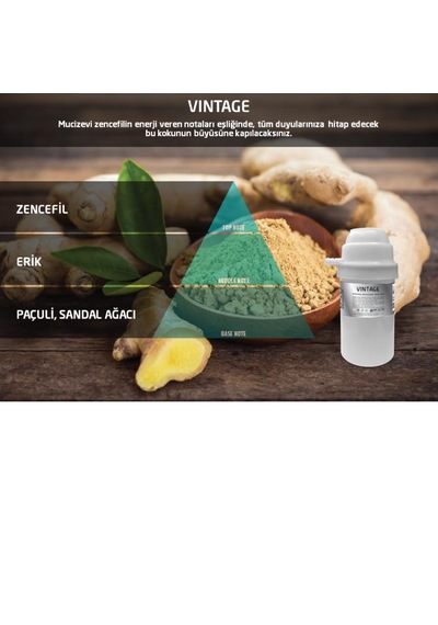 Rulopak 200605 M7 251 Vintage Koku Kartuşu 100 Ml