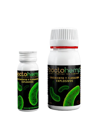 Agrobacterias Bactohemp 10 G