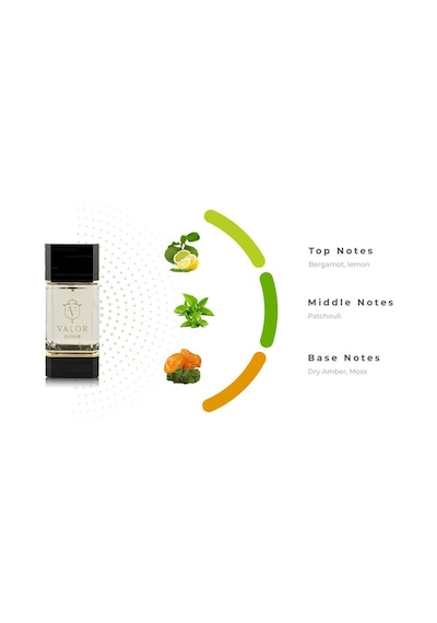 Khadlaj. Valor Honor Edp 100 Ml Erkek Parfüm Aromatik