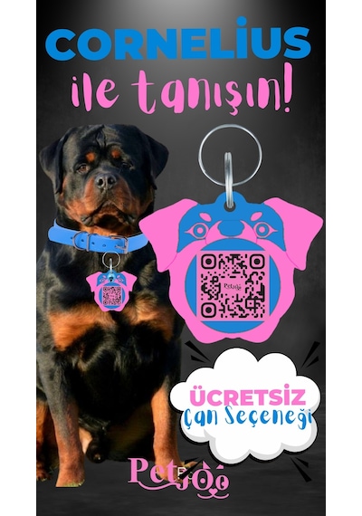 Petjoo 20.Cornelius Pembe-Mavi Qr'lı Köpek Künyesi
