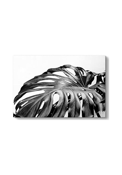Tabanı Siyah Beyaz Tablo 60 X 40