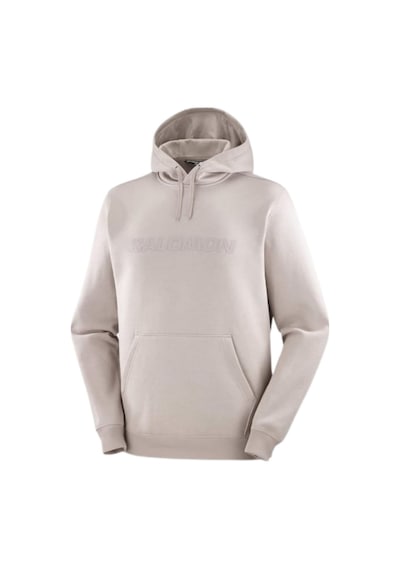 Salomon Salomon Bıg Logo Hoodıe M 55112 Çok Renkli