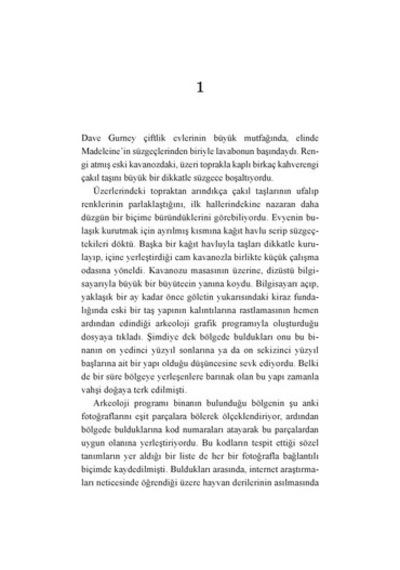 Fırtınada Yanma - Roman, Gerilim