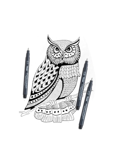 Pentel Pointliner S20p-05a, Fineliner, Siyah, Suya Dayanıklı Ve S